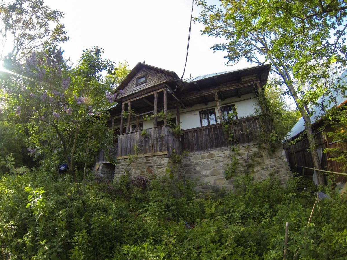 Дома для отпуска Casa Zmeura Вэлени-де-Мунте-5