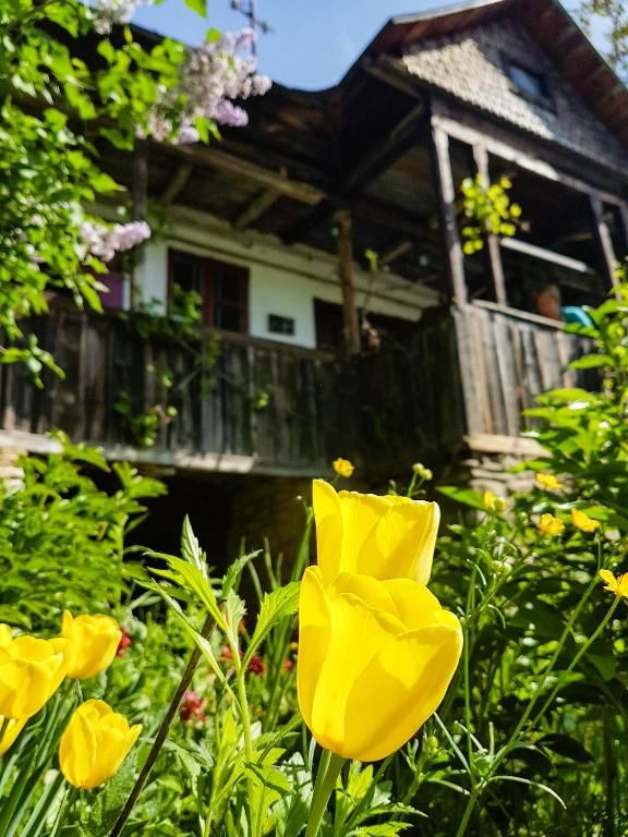 Дома для отпуска Casa Zmeura Вэлени-де-Мунте